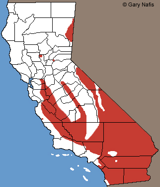 Long-nosed Snake Range Map