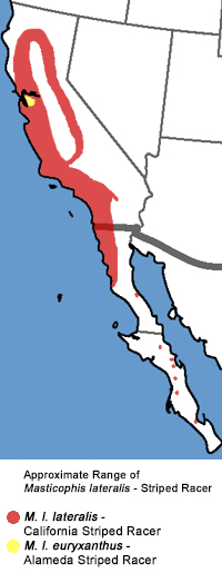 Full Species Range Map