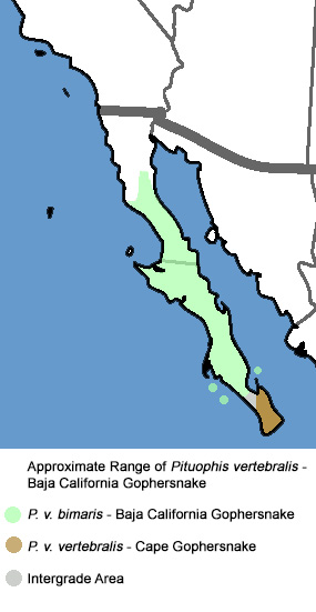 Full Species Range Map