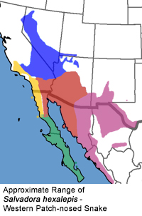 Full Species Range Map