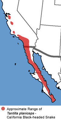 Full Species Range Map