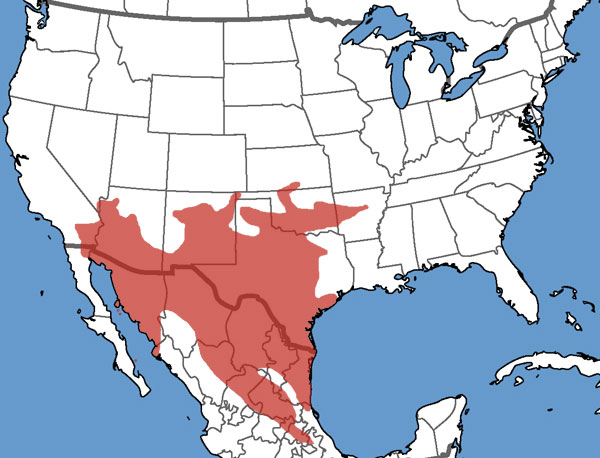 Full Species Range Map