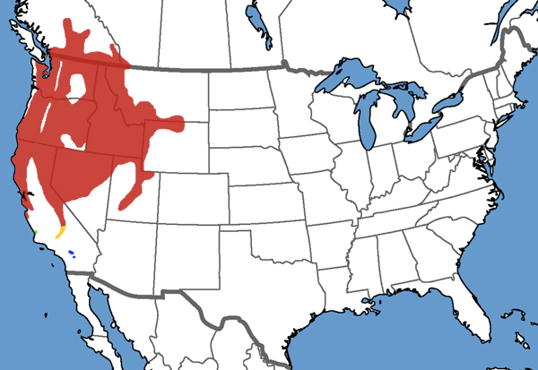 Full Species Range Map