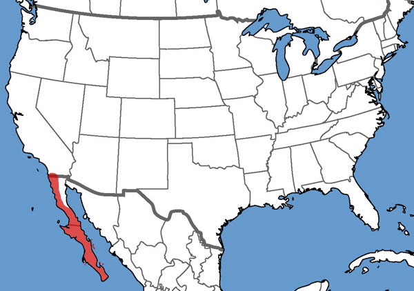 Full Species Range Map