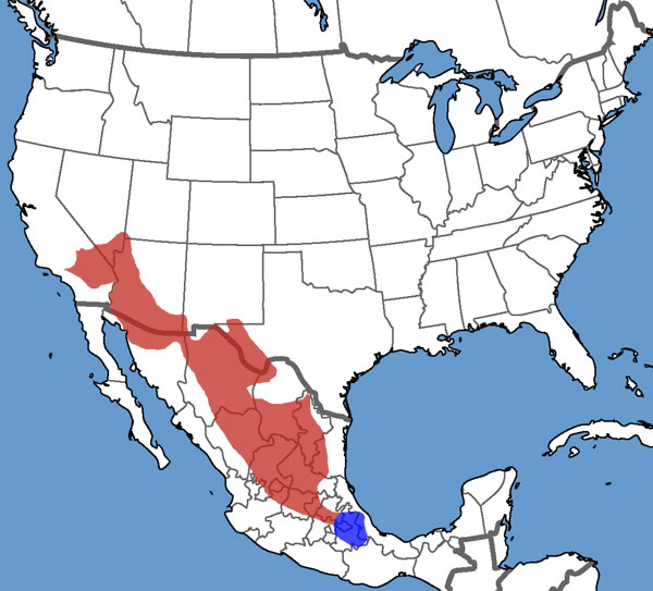 Full Species Range Map