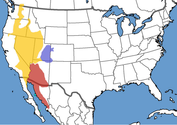 Full Species Range Map