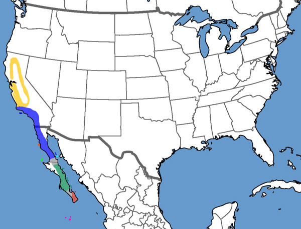 Full Species Range Map