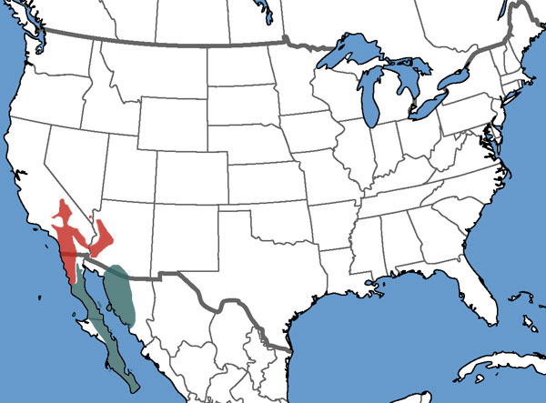 Full Species Range Map