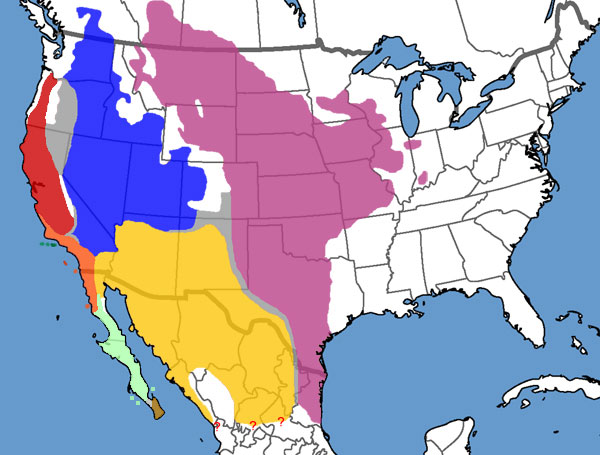Full Species Range Map