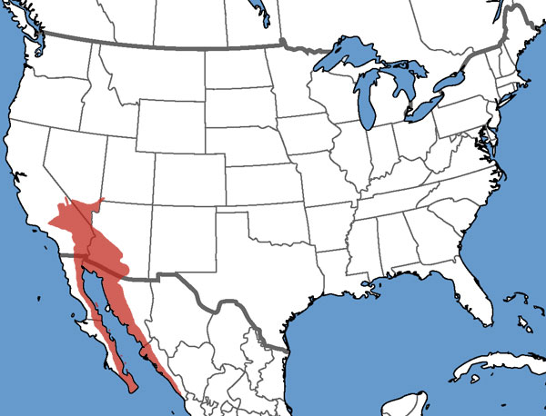 Full Species Range Map