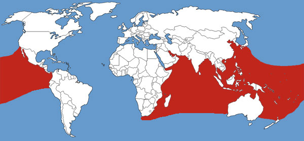Full Species Range Map