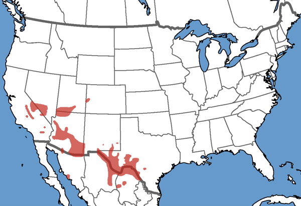 Full Species Range Map