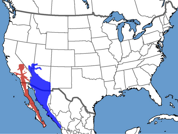 Full Species Range Map