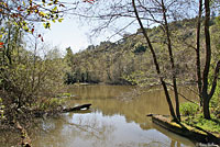 Red-eared Slider Habitat