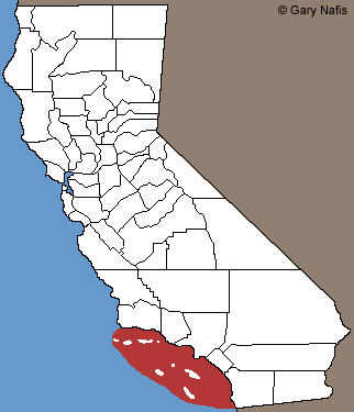 Pacific Hawksbill Sea Turtle Locations