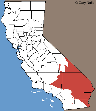 Desert Tortoise Range Map