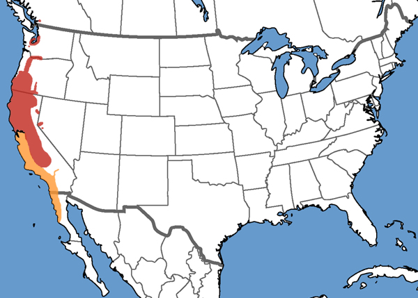 Full Species Range Map