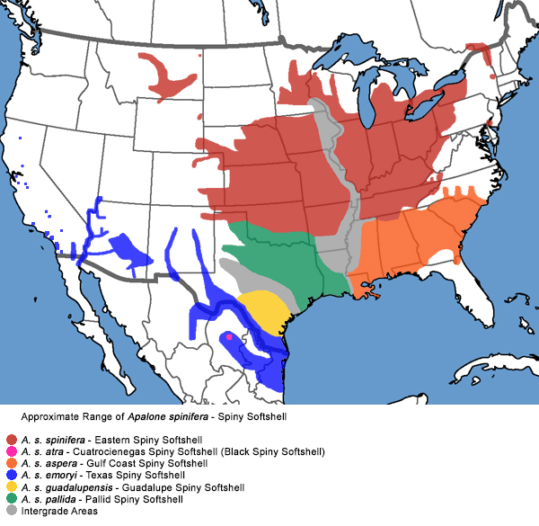 Full Species Range Map