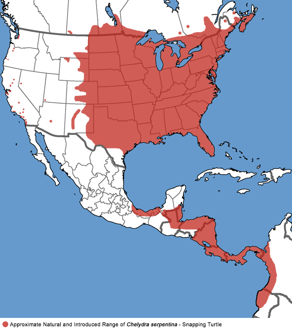 Full Species Range Map