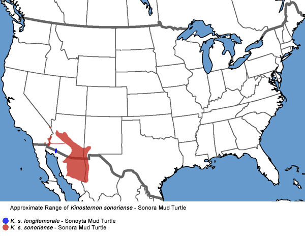 Full Species Range Map