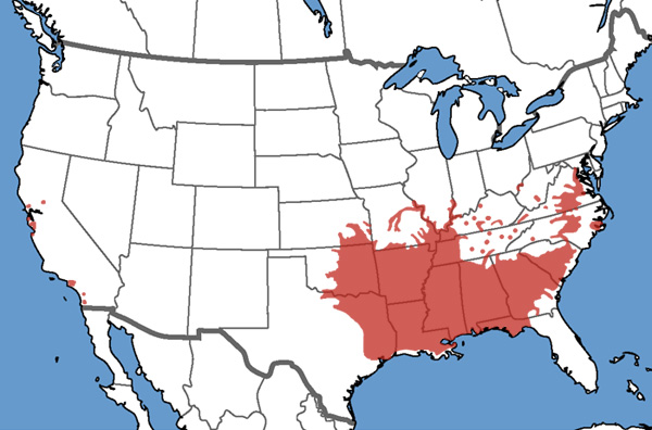 Full Species Range Map